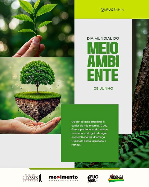 Combate à poluição plástica e promoção de ações coletivas