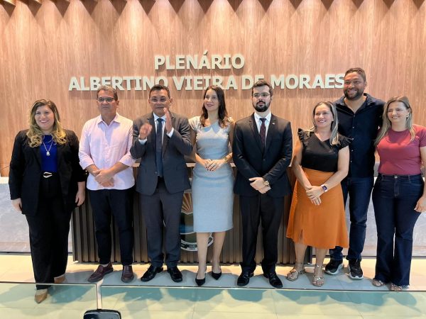 FUG-PI promove formação em oratória e processo legislativo em parceria com a Câmara Municipal de Demerval Lobão