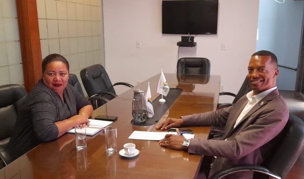 FUG-DF e Núcleo Afro do MDB-DF alinham parceria para novas formações